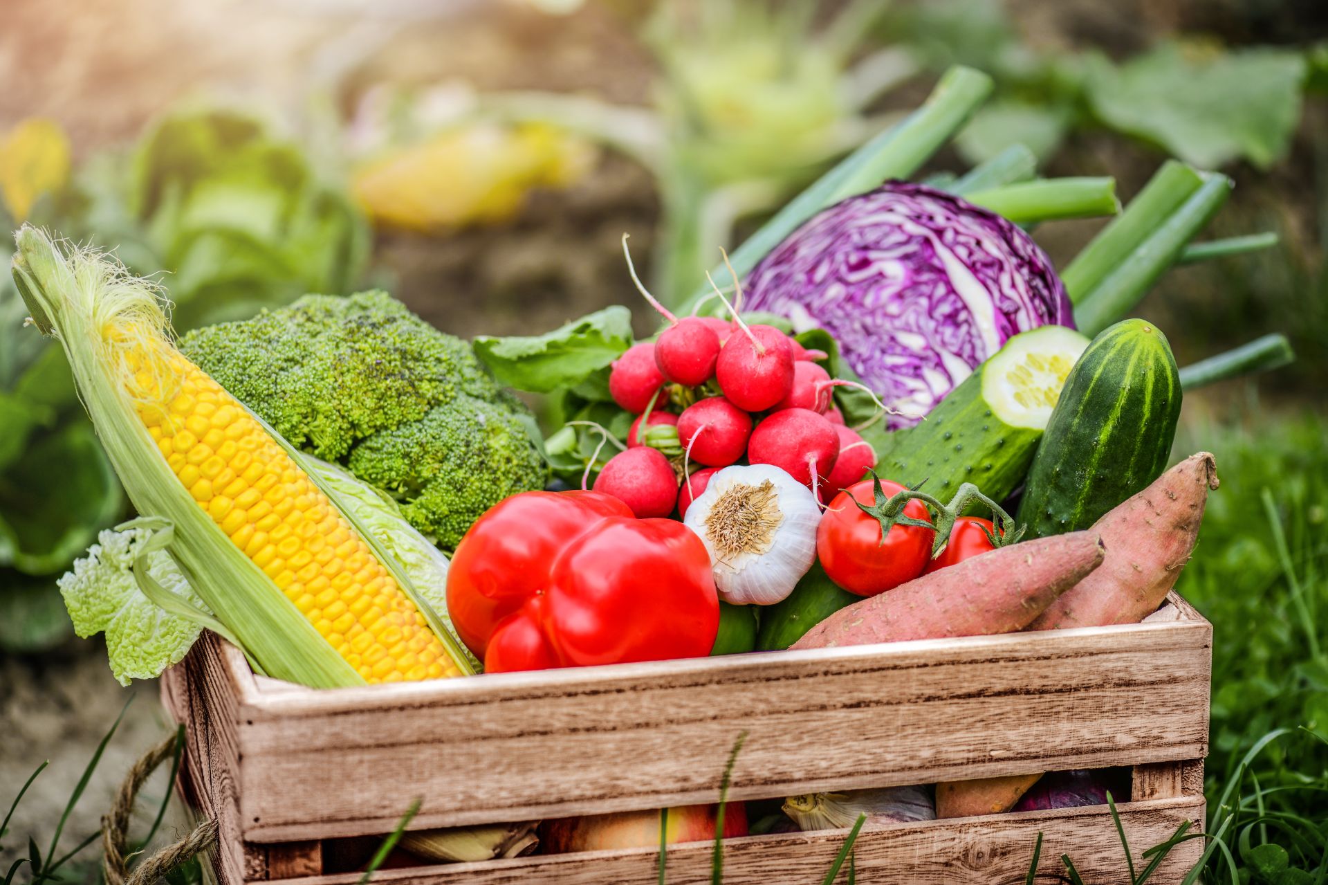 What Is Low Glycemic Index Food & Why It Matters